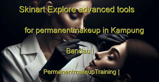 Skinart Explore advanced tools for permanentmakeup in Kampung Bandau | PermanentmakeupTraining | PermanentmakeupClasses | SkinartTraining-Malaysia
